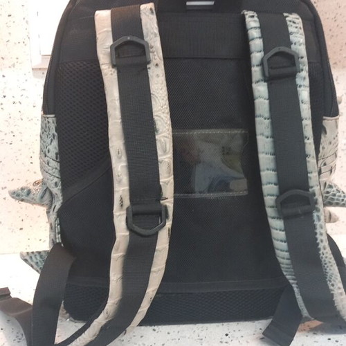 MadPax Backpack Dragon Design Like New Gray