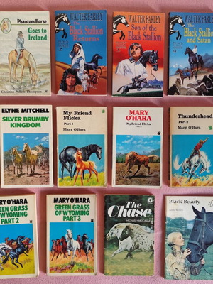 Set of 16 used children's paperback books about horses in English
