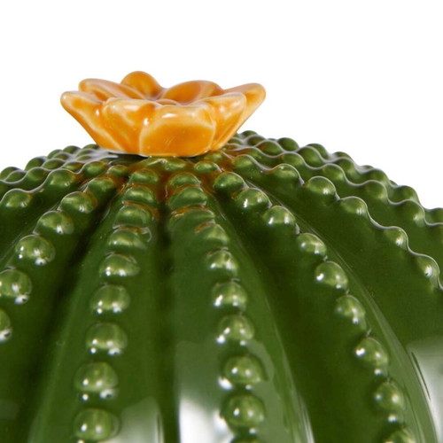 Ceramic Cactus Box new designer decoration