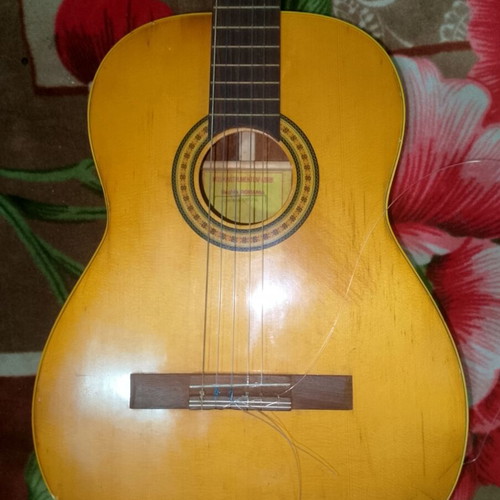 Cristal Reghin classical guitar with Ibanez soft case