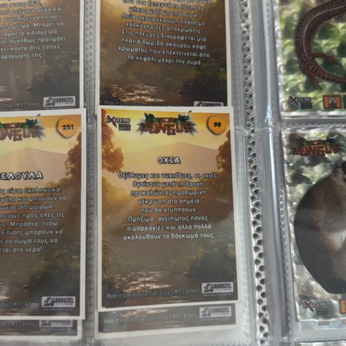 The Jungle Carouzel animal trading cards album