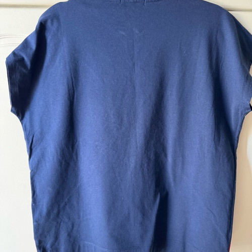 Polo Ralph Lauren shirt blue red with embroidery and cord size large like new