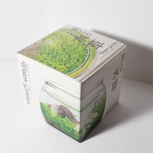 Water Garden in Glass Bowl new, complete kit from Japan