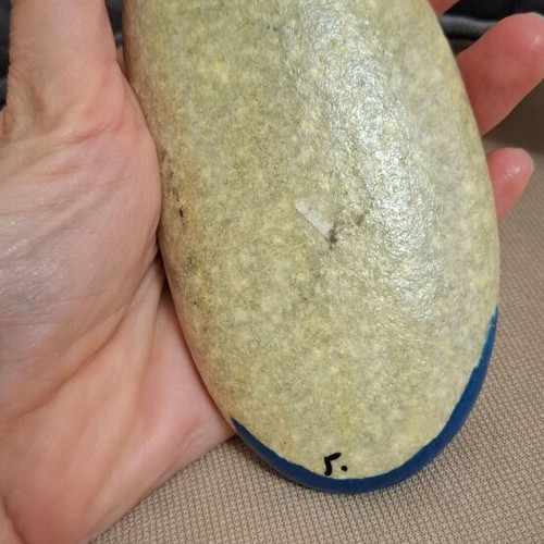 Hand-painted stone with Donald, new