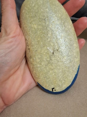 Hand-painted stone with Donald, new