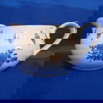  Σωσιέρα