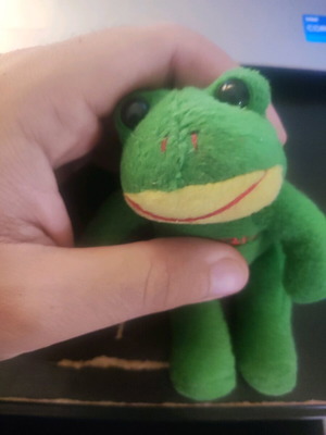 Kellytoy Frog Comfuzlo used, green