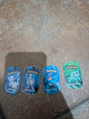 Pokemon metal tags used
