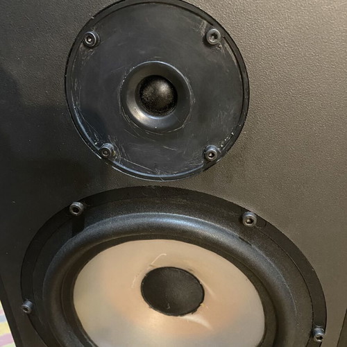 SRC Cambridge audiophile floor speakers used with Scan-Speak drivers