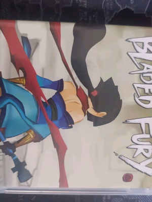 Bladed Fury Nintendo Switch used
