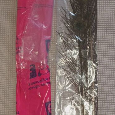 Set of 8 authentic peacock feathers like new, large and impressive