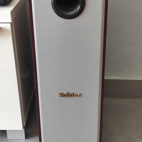 Roister sound floor-standing speakers like new
