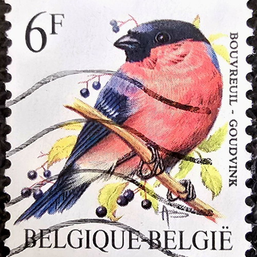 Belgium 1988 Stamp used