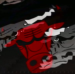  CHICAGO BULLS T-SHIRT !!!
