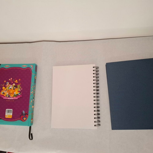 Daily diaries pack of 3 with hardcover like new