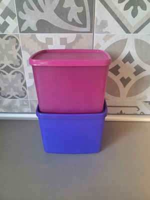 Freezer containers 800ml new, ideal for parsley and celery