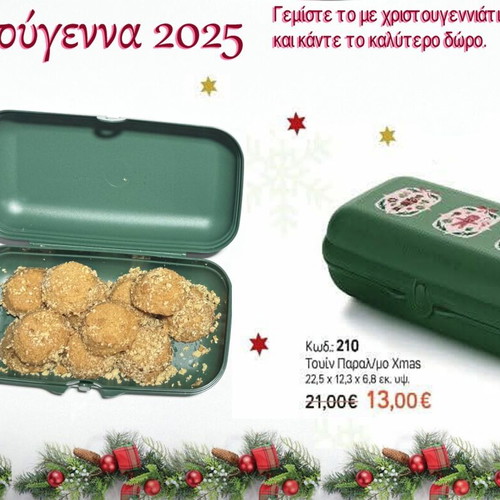 Tupperware Twin Rectangular Xmas Edition new