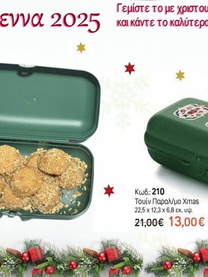 Tupperware Twin Rectangular Xmas Edition new