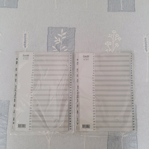 31-day dividers new, pack of 2