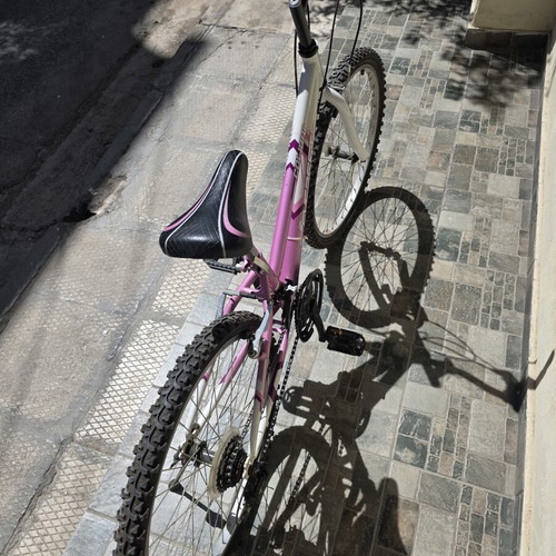 Everest Colibri 24 Inch Mountain Bike 18-Speed used, Shimano