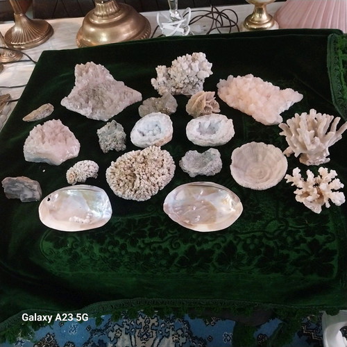 Coral and rock collection used, pack