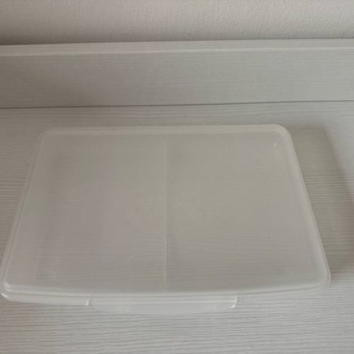 Taper food container two compartments new, plastic for cheese and cold cuts