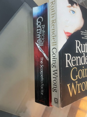 Crime & Mystery Books Bundle like new, 2 crime books in English