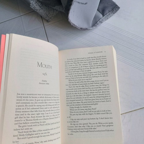 Book Nora by Nuala O'Connor like new, English