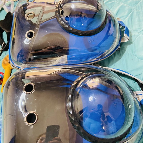 Complete cat accessories set with astronaut backpacks and toys