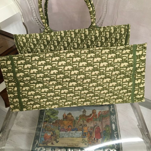 Christian Dior Large Oblique Book Tote Green bag new