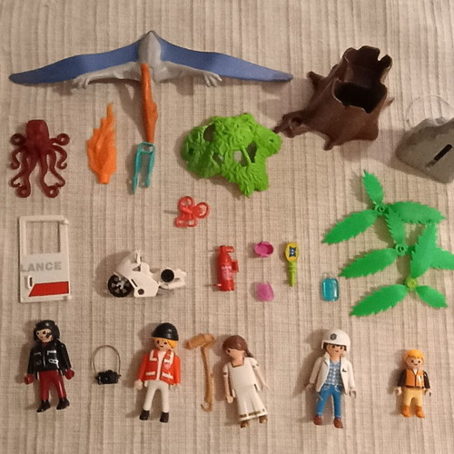 Playmobil set with 5 figures and various accessories like new