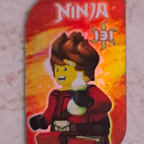 Ninja metal cards, set of 8 with magnet