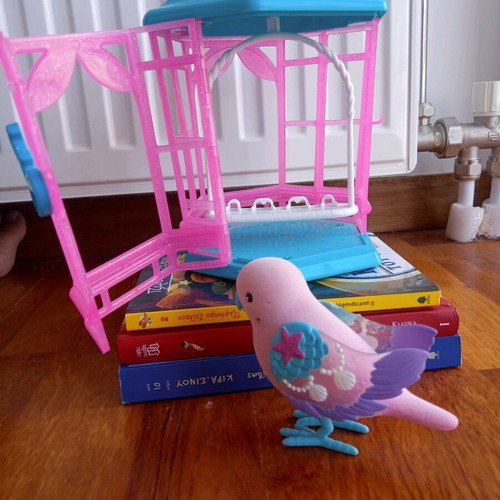 Little Live Pets Bird and Cage like new