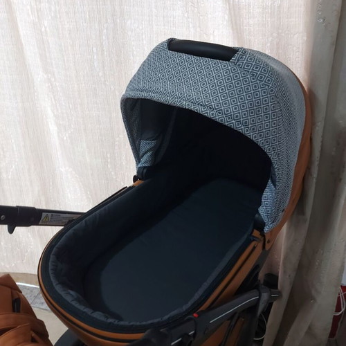 Anex Sport Deluxe Foxy stroller with car seat used