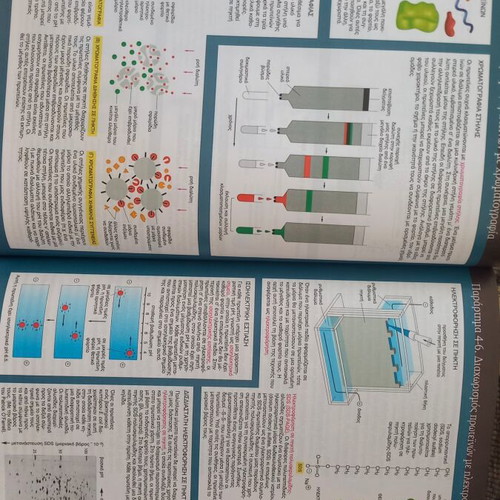 Basic Principles of Cell Biology 3rd Edition like new, Greek