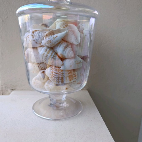 Decorative vase like new with real seashells, glass