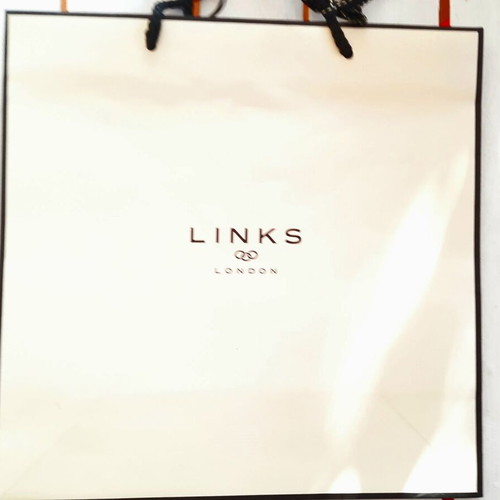 Links paper bag medium size new