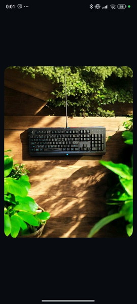 Razer cynosa lite