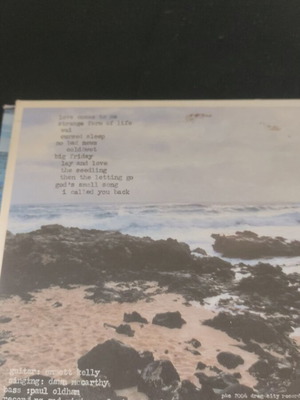 Bonnie Prince Billy The Letting Go CD, folk