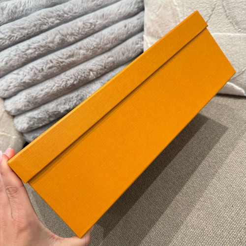 Louis Vuitton box new with protective paper
