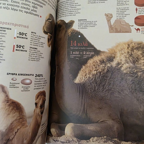 Atlas of Sciences Mammals book like new