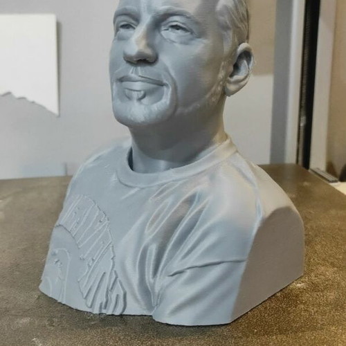 3D Printed Bust From Photo New, Personalized Gift