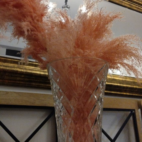 Decorative plants like new, feathers
