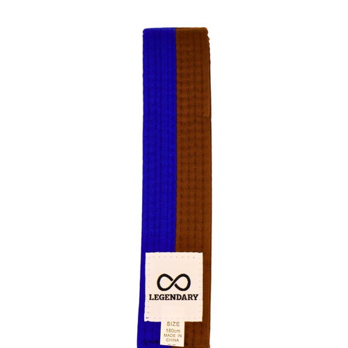 Legendary Blue/Brown Martial Arts Belt new