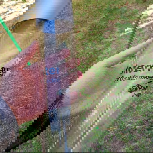 Стъклени бутилки употребявани, комплект от 2, 750 мл