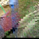 Стъклени бутилки употребявани, комплект от 2, 750 мл