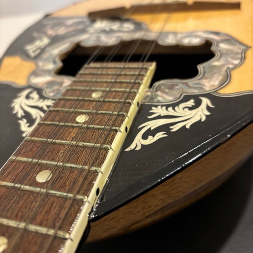 8-string bouzouki used Ilia Palavratzis with new strings and case
