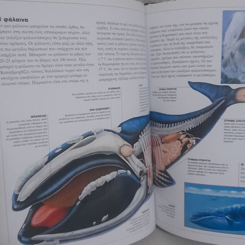 Children's Encyclopedia The World of Animals used, Greek