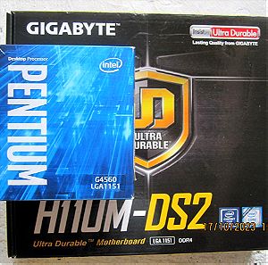 Μητρική + Επεξεργαστής GIGABYTE -H110M-DS2 + Intel Pentium Dual Core G4560 Box HD Graphics 610 Box