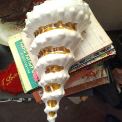 Ceramic wall decoration shell vase new